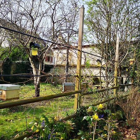 Villa Le Cloky Thomery Dış mekan fotoğraf