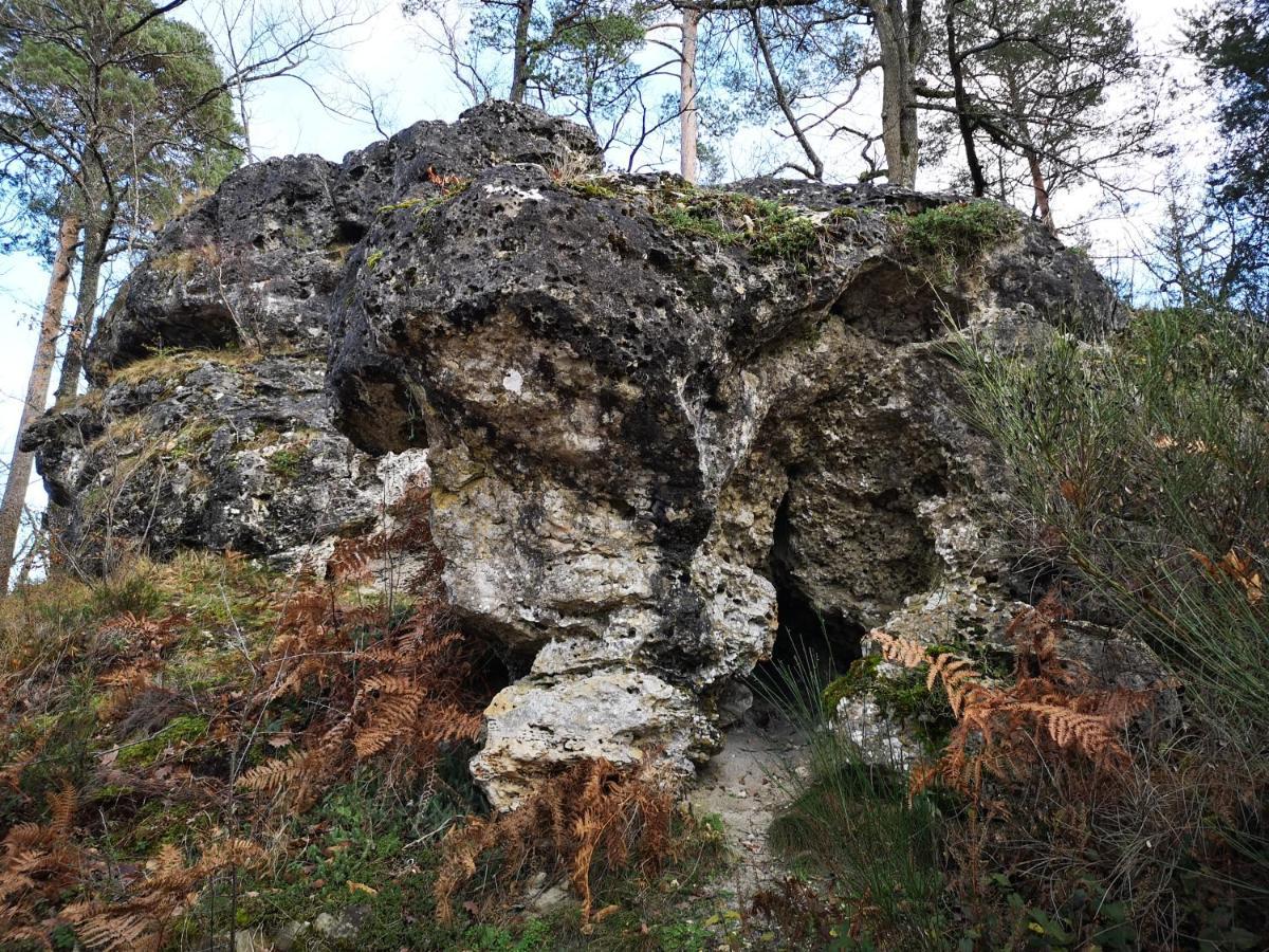 Villa Le Cloky Thomery Dış mekan fotoğraf